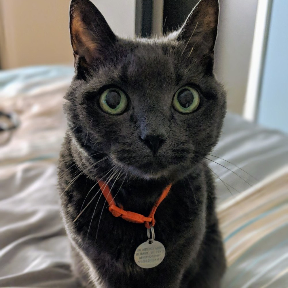 Meet your Posher, Amy